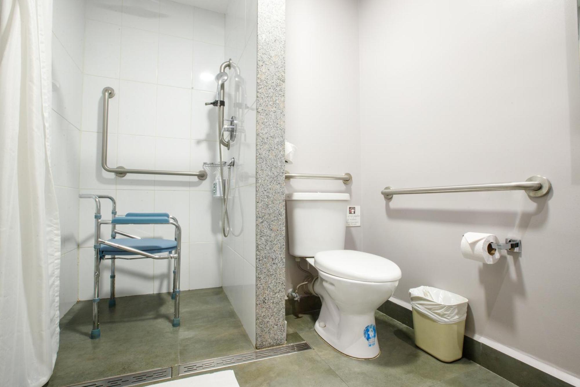 Ibis 3*